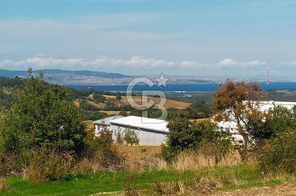 Bitişik 2 Parsel | Toplam ~15 Dönüm | Ana Yola Cepheli