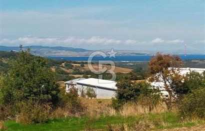 Bitişik 2 Parsel | Toplam ~15 Dönüm | Ana Yola Cepheli