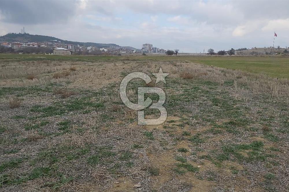 Afyon-Dazkırı Esentepe Mah.Yaka Mevkiinde 962 m² Satılık Tarla