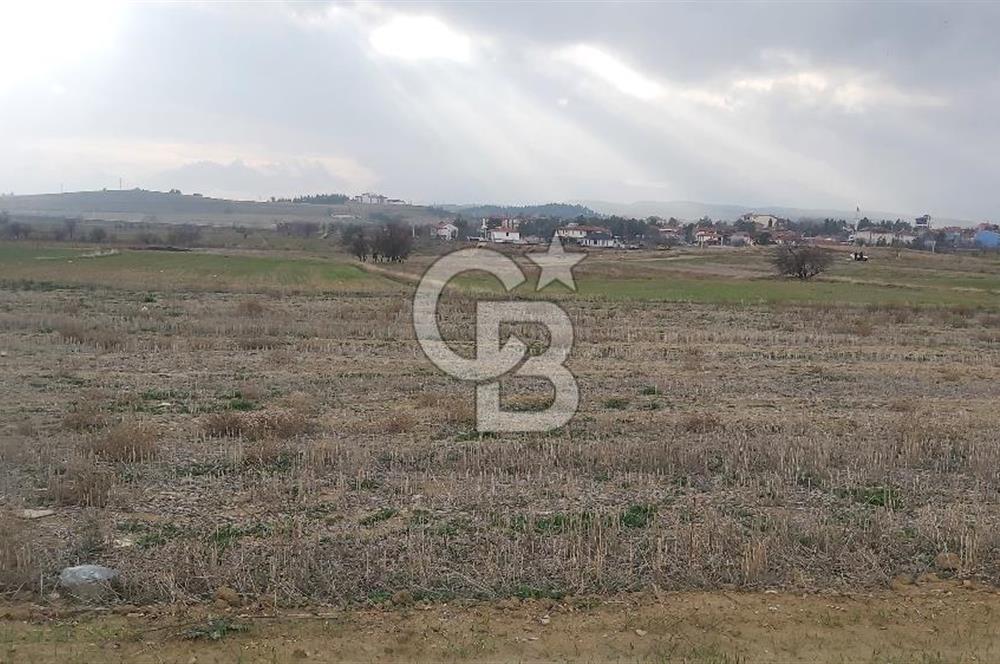 Afyon-Dazkırı Esentepe Mah.Yaka Mevkiinde 962 m² Satılık Tarla