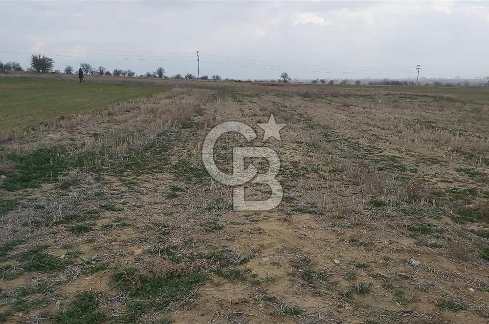 Afyon-Dazkırı Esentepe Mah.Yaka Mevkiinde 962 m² Satılık Tarla
