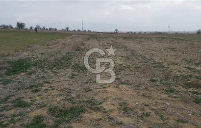 Afyon-Dazkırı Esentepe Mah.Yaka Mevkiinde 962 m² Satılık Tarla