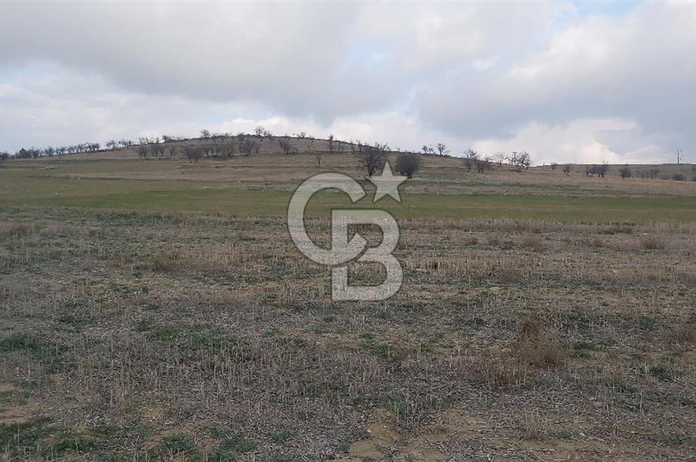Afyon-Dazkırı Esentepe Mah.Yaka Mevkiinde 962 m² Satılık Tarla