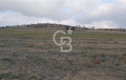 Afyon-Dazkırı Esentepe Mah.Yaka Mevkiinde 962 m² Satılık Tarla