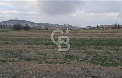 Afyon Dazkırı Esentepe Mah.de Anayola Yakın Yaka Mevkiinde 2.156 m² Satılık Tarla