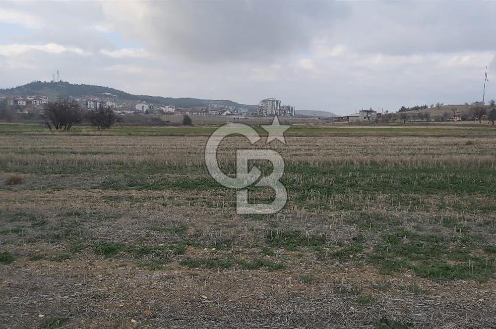 Afyon Dazkırı Esentepe Mah.de Anayola Yakın Yaka Mevkiinde 2.156 m² Satılık Tarla