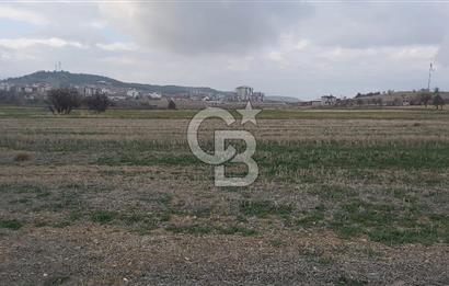 Afyon Dazkırı Esentepe Mah.de Anayola Yakın Yaka Mevkiinde 2.156 m² Satılık Tarla