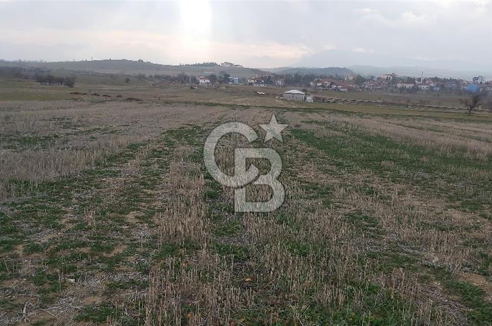 Afyon Dazkırı Esentepe Mah.de Anayola Yakın Yaka Mevkiinde 2.156 m² Satılık Tarla