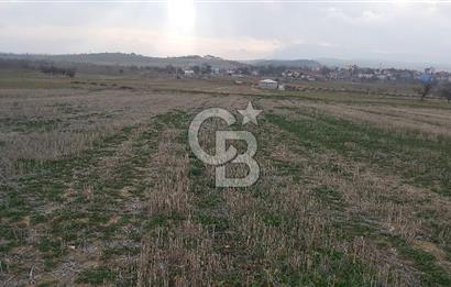 Afyon Dazkırı Esentepe Mah.de Anayola Yakın Yaka Mevkiinde 2.156 m² Satılık Tarla