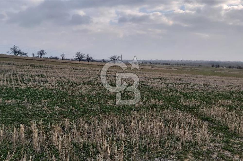 Afyon Dazkırı Esentepe Mah.de Anayola Yakın Yaka Mevkiinde 2.156 m² Satılık Tarla