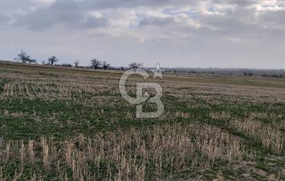 Afyon Dazkırı Esentepe Mah.de Anayola Yakın Yaka Mevkiinde 2.156 m² Satılık Tarla