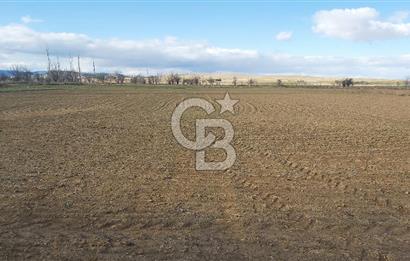 Afyon-Dazkırı Esentepe Mah.Aktaş Mevkiinde 4.210 m² Satılık Tarla