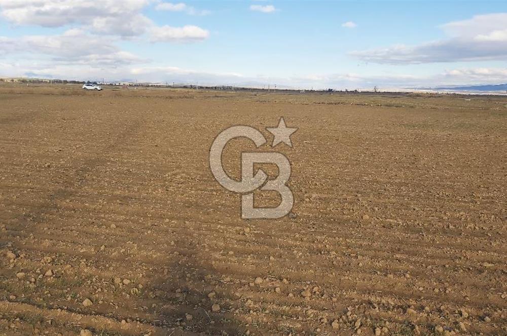 Afyon-Dazkırı Esentepe Mah.Aktaş Mevkiinde 4.210 m² Satılık Tarla