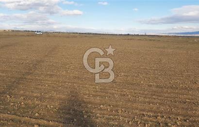 Afyon-Dazkırı Esentepe Mah.Aktaş Mevkiinde 4.210 m² Satılık Tarla