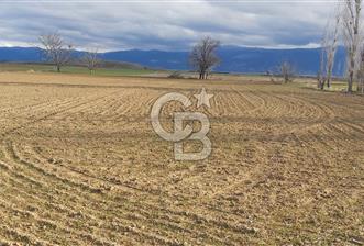 Afyon-Dazkırı Esentepe Mah.Aktaş Mevkiinde 4.210 m² Satılık Tarla - 4 - 325422