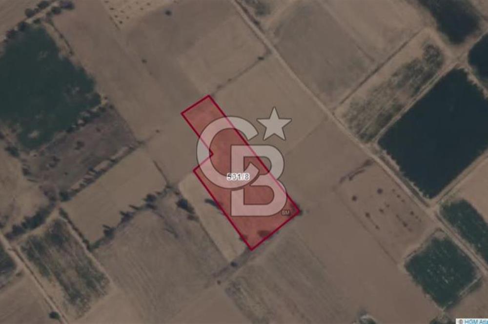 Afyon-Dazkırı Esentepe Mah.Aktaş Mevkiinde 4.210 m² Satılık Tarla