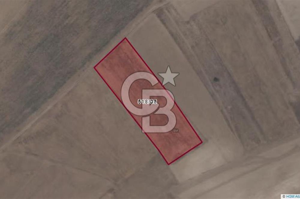 Afyon-Dazkırı Esentepe Mah.Tim Tim Mevkiinde 7.665 m² Fırsat Satılık Tarla