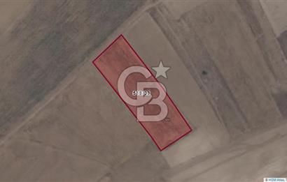 Afyon-Dazkırı Esentepe Mah.Tim Tim Mevkiinde 7.665 m² Fırsat Satılık Tarla