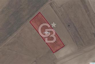 Afyon-Dazkırı Esentepe Mah.Tim Tim Mevkiinde 7.665 m² Fırsat Satılık Tarla - 3 - 325424