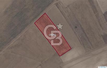 Afyon-Dazkırı Esentepe Mah.Tim Tim Mevkiinde 7.665 m² Fırsat Satılık Tarla