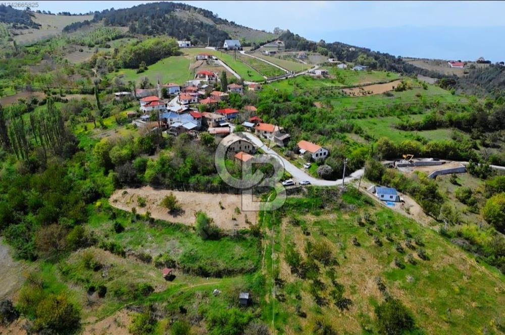 SAKARYA GEYVE'DE SATILIK 1200 M2 ARSA