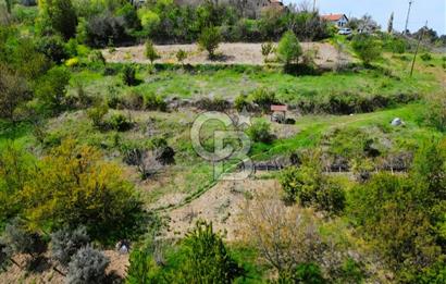 SAKARYA GEYVE'DE SATILIK 1200 M2 ARSA