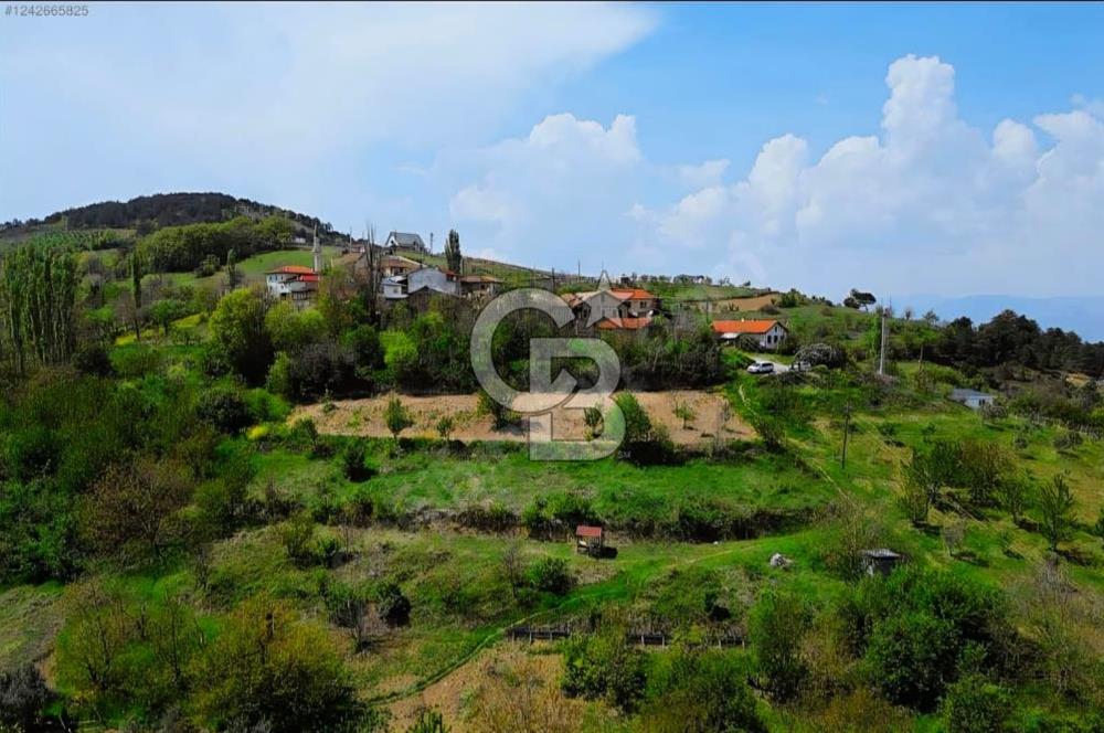 SAKARYA GEYVE'DE SATILIK 1200 M2 ARSA