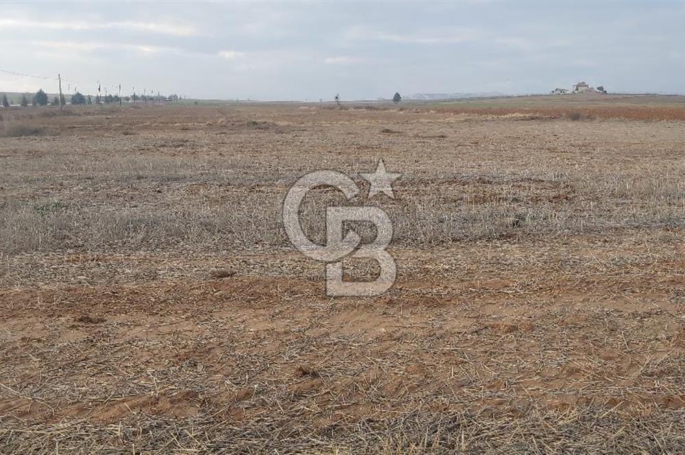 Afyon-Dazkırı Esentepe Mah.Başmakçı Yolu Yanı 2.061 m² Fırsat Satılık Tarla