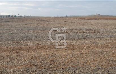 Afyon-Dazkırı Esentepe Mah.Başmakçı Yolu Yanı 2.061 m² Fırsat Satılık Tarla