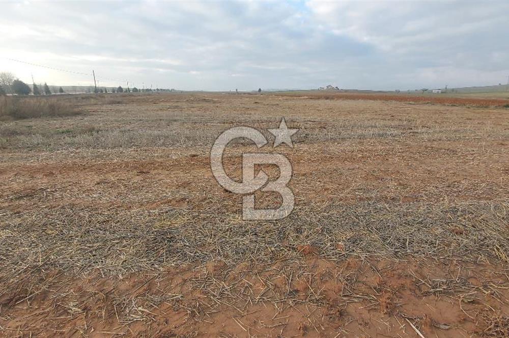 Afyon-Dazkırı Esentepe Mah.Başmakçı Yolu Yanı 2.061 m² Fırsat Satılık Tarla