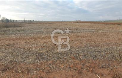 Afyon-Dazkırı Esentepe Mah.Başmakçı Yolu Yanı 2.061 m² Fırsat Satılık Tarla