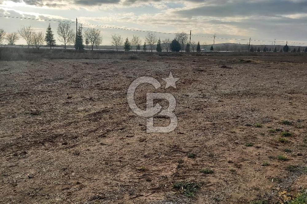 Afyon-Dazkırı Esentepe Mah.Başmakçı Yolu Yanı 2.061 m² Fırsat Satılık Tarla