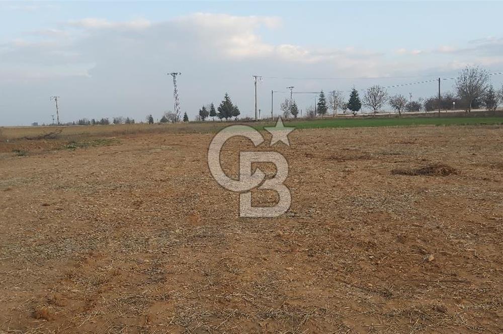 Afyon-Dazkırı Esentepe Mah.Başmakçı Yolu Yanı 2.061 m² Fırsat Satılık Tarla