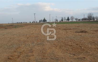 Afyon-Dazkırı Esentepe Mah.Başmakçı Yolu Yanı 2.061 m² Fırsat Satılık Tarla