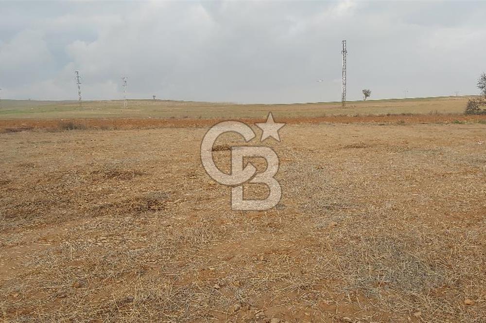 Afyon-Dazkırı Esentepe Mah.Başmakçı Yolu Yanı 2.061 m² Fırsat Satılık Tarla
