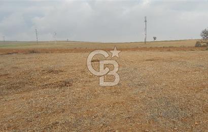 Afyon-Dazkırı Esentepe Mah.Başmakçı Yolu Yanı 2.061 m² Fırsat Satılık Tarla