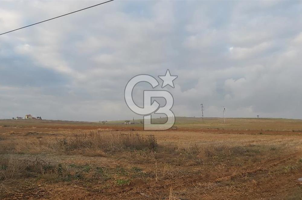 Afyon-Dazkırı Esentepe Mah.Başmakçı Yolu Yanı 2.061 m² Fırsat Satılık Tarla