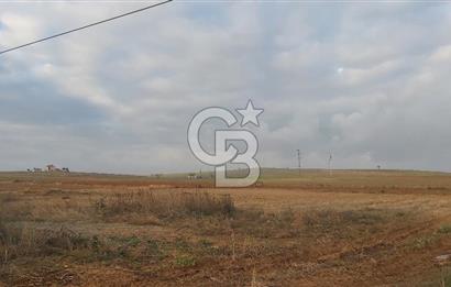 Afyon-Dazkırı Esentepe Mah.Başmakçı Yolu Yanı 2.061 m² Fırsat Satılık Tarla