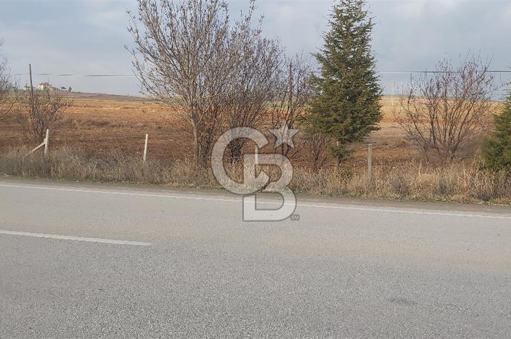 Afyon-Dazkırı Esentepe Mah.Başmakçı Yolu Yanı 2.061 m² Fırsat Satılık Tarla