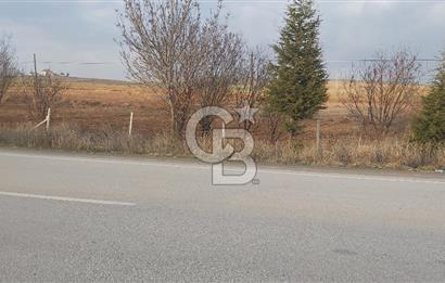 Afyon-Dazkırı Esentepe Mah.Başmakçı Yolu Yanı 2.061 m² Fırsat Satılık Tarla