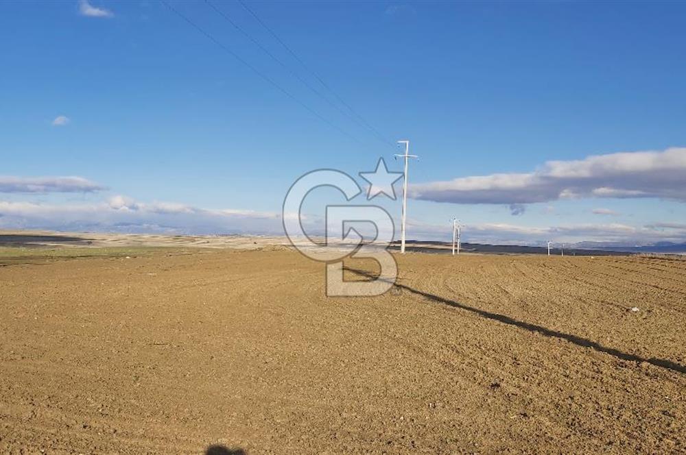 Afyon-Dazkırı Esentepe Mah.Karacan Mevkiinde 3.130 m² Satılık Tarla