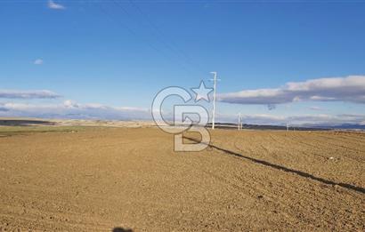 Afyon-Dazkırı Esentepe Mah.Karacan Mevkiinde 3.130 m² Satılık Tarla