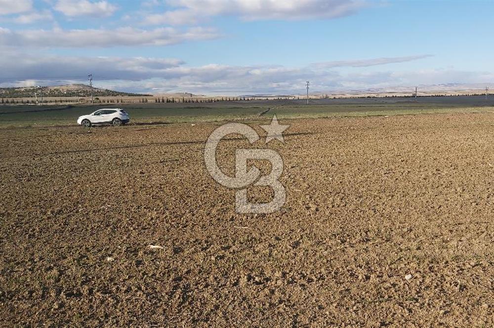Afyon-Dazkırı Esentepe Mah.Karacan Mevkiinde 3.130 m² Satılık Tarla