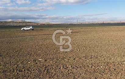 Afyon-Dazkırı Esentepe Mah.Karacan Mevkiinde 3.130 m² Satılık Tarla