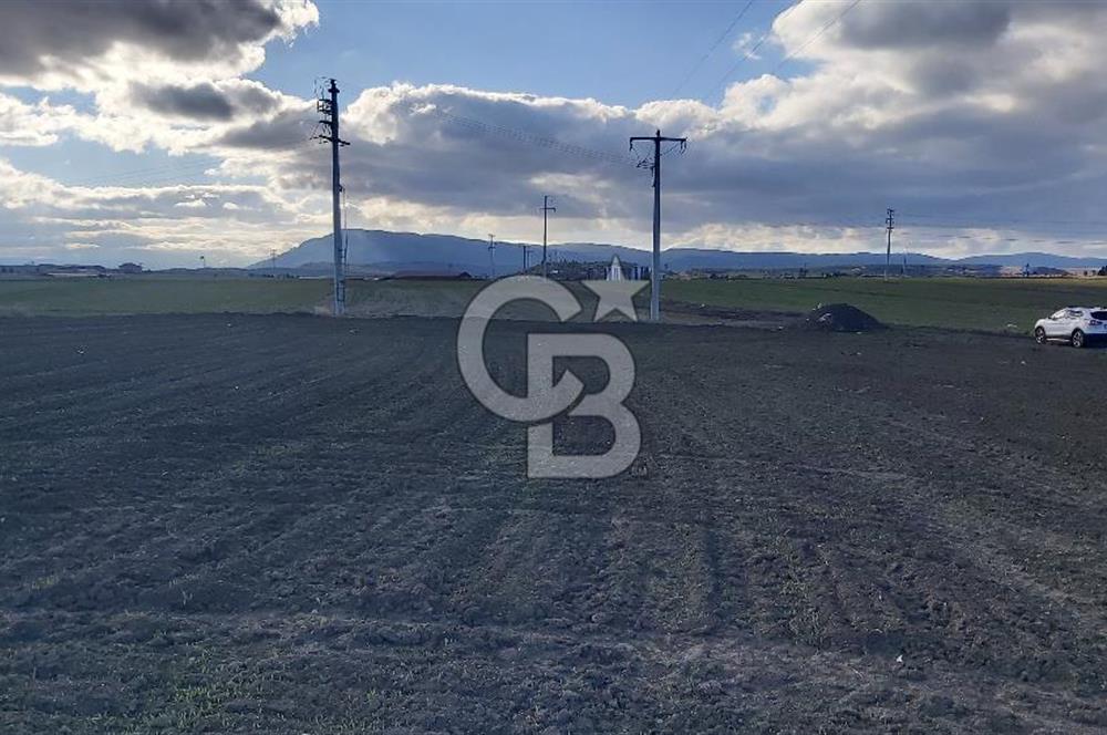 Afyon-Dazkırı Esentepe Mah.Karacan Mevkiinde 3.130 m² Satılık Tarla