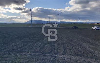 Afyon-Dazkırı Esentepe Mah.Karacan Mevkiinde 3.130 m² Satılık Tarla