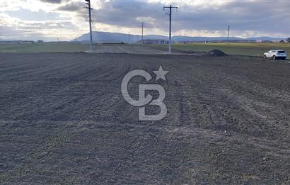 Afyon-Dazkırı Esentepe Mah.Karacan Mevkiinde 3.130 m² Satılık Tarla