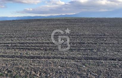 Afyon-Dazkırı Esentepe Mah.Karacan Mevkiinde 3.130 m² Satılık Tarla