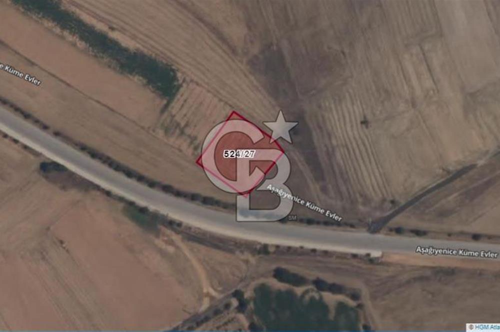 Afyon-Dazkırı Esentepe Mah.Başmakçı Yolu Yanı 2.061 m² Fırsat Satılık Tarla