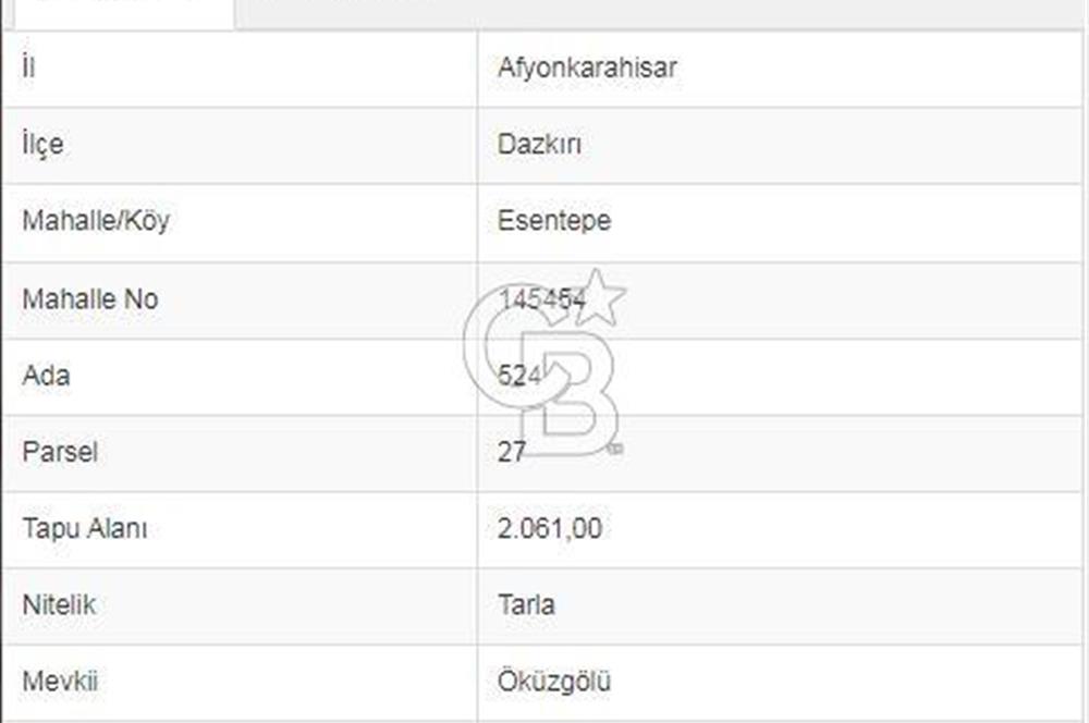 Afyon-Dazkırı Esentepe Mah.Başmakçı Yolu Yanı 2.061 m² Fırsat Satılık Tarla